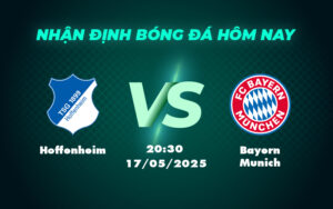 hoffenheim bayern munich 17 05 bundesliga