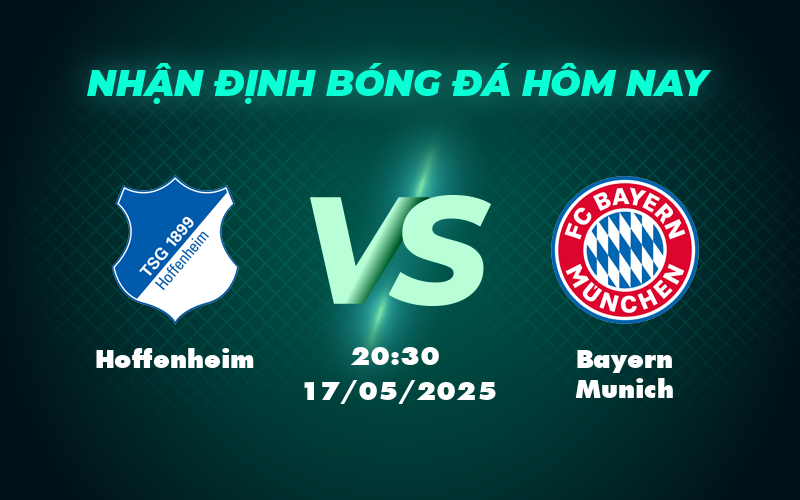hoffenheim bayern munich 17 05 bundesliga